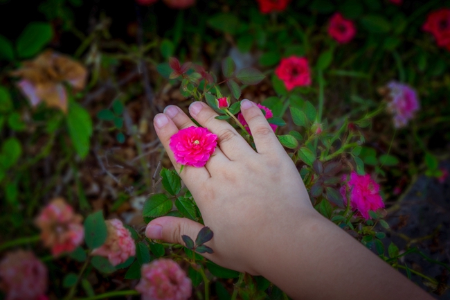 1544668204233217.jpg 戴姓男孩自信大方應該怎么取名?-戴姓寶寶起名