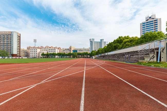 生肖狗2024年9月運勢大揭秘！