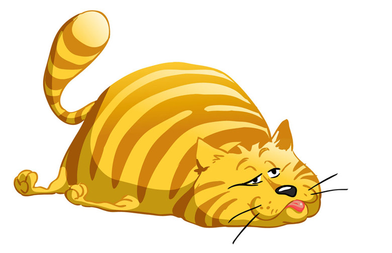 1477967340471585.jpg 屬虎人年底應該注意什麼?