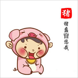 生肖豬2025年9月整體運勢揭秘！