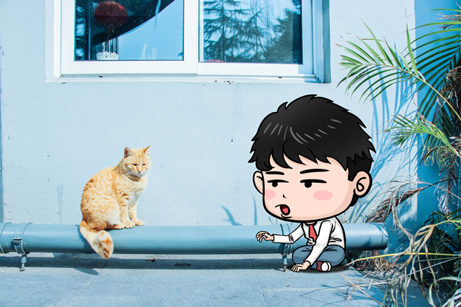 段姓男孩取什麼名字顯陽剛之氣？-段姓寶寶起名