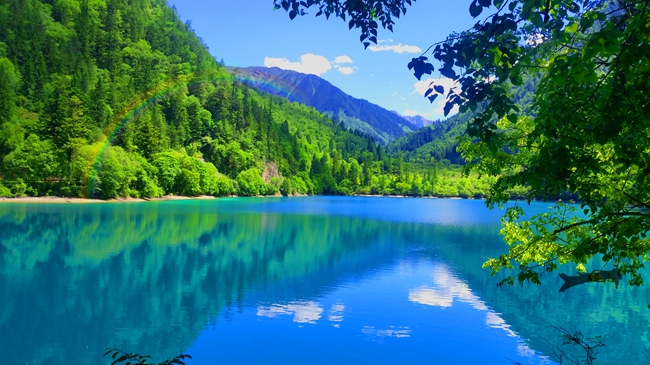 關姓豬寶寶能逢凶化吉的名字有哪些？-關姓生肖起名