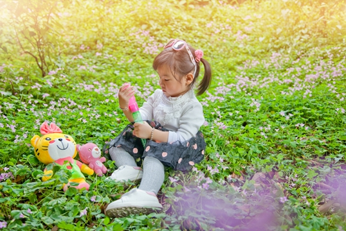 如何為姓鄭五行命理火土的女孩取名？-鄭姓五行起名