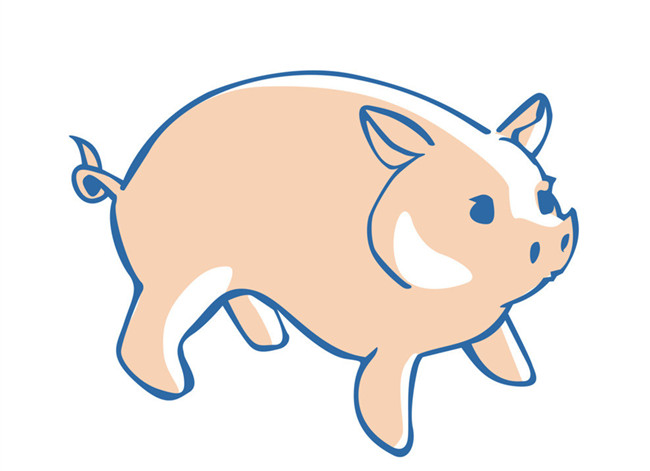 生肖豬在新的一年要注意哪些方面的問題？