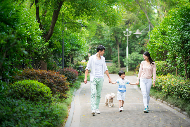 1510645125309226.jpg 家中添丁進福,財運步步高升的生肖!