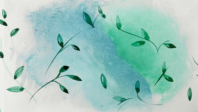 屬豬的關姓寶寶顯樂觀向上的名字怎么取？-關姓生肖起名