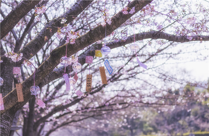 水瓶座永遠不變的9個特質！_周公解夢