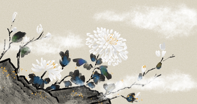 1542352646179626.jpg 豬年最溫暖的董姓寶寶名字怎么取?-董姓生肖起名