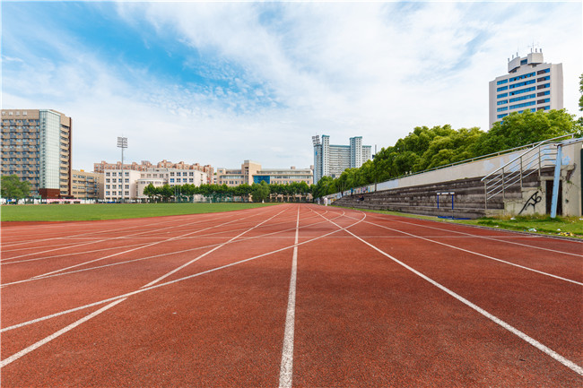 如虎添翼!2025年屬狗人適合養哪些寵物