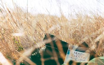 摩羯座和什麼座最配_周公解夢