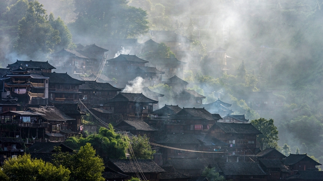 武家屬狗的寶寶取什麼名字最有氣質？-武姓生肖起名