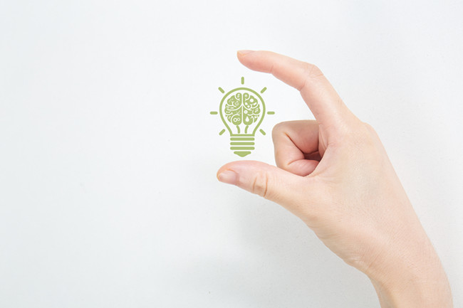 必看！屬兔、豬、雞的人如何改變自身財運？