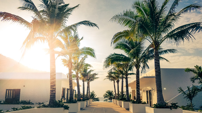 生肖羊2025年8月出行運勢！