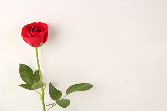 1507788795477222.jpg 10月份愛情上會傳來好訊息的生肖!