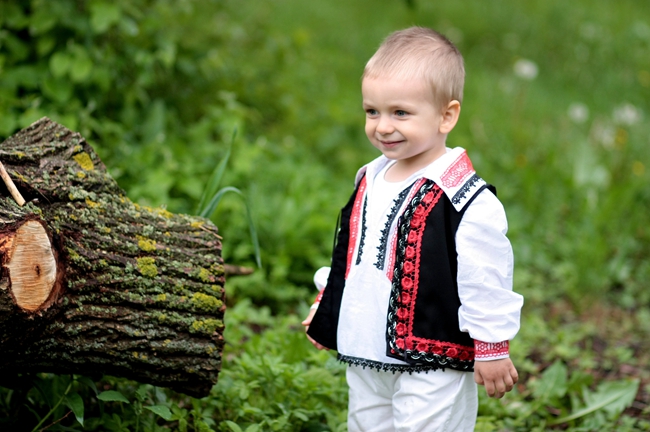 豬年顯富貴的齊姓男孩名字有哪些？-齊姓生肖起名