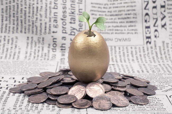 十二生肖2025年第一季度的財運解析！